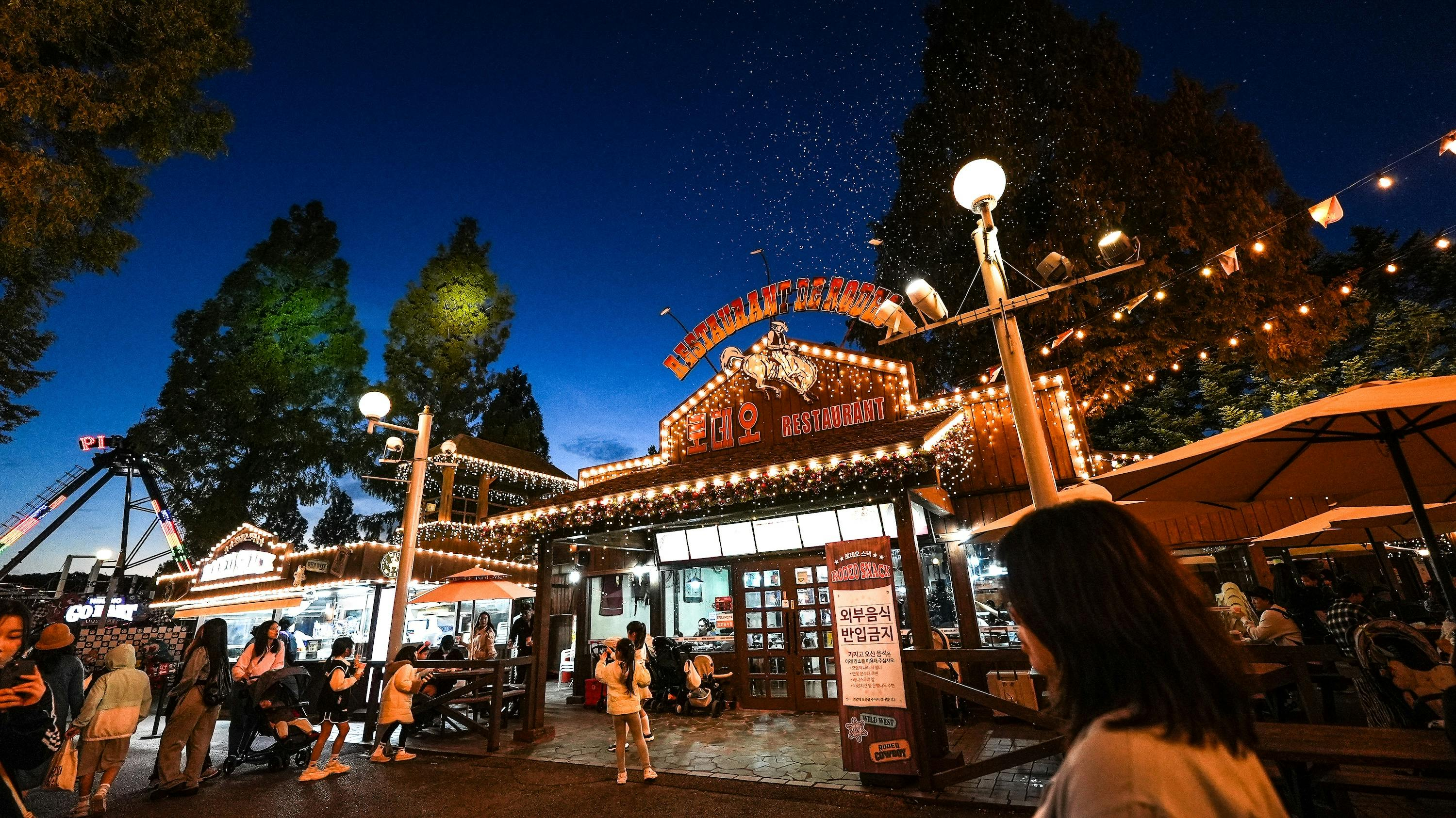 Seoul Land Theme Park: 1-Day Pass + Seoul Zoo Ticket - Photo 1 of 12